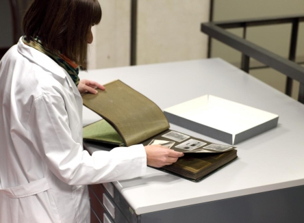 Sobre el fondo y las colecciones fotográficas