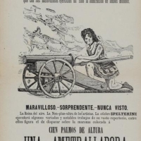 Mlle. Spelterini disparando una ametralladora. 1882; 54 X 19 cm.   ES.462508.ADPV/Carteles de circo/ Sig. IX.3.3. caja 6,  legajo 14