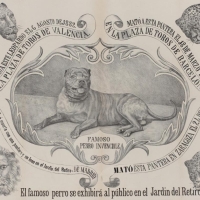 Famoso Perro Invencible. 1883; 73 x 48 cm. ES.462508.ADPV/Carteles de circo/ Sig. IX.1 caja 34, legajo 94.02