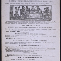 Gran esposición [sic] de fieras. 1876. ES.462508.ADPV/Carteles de circo/ IX.1 caja 29, legajo 87.01